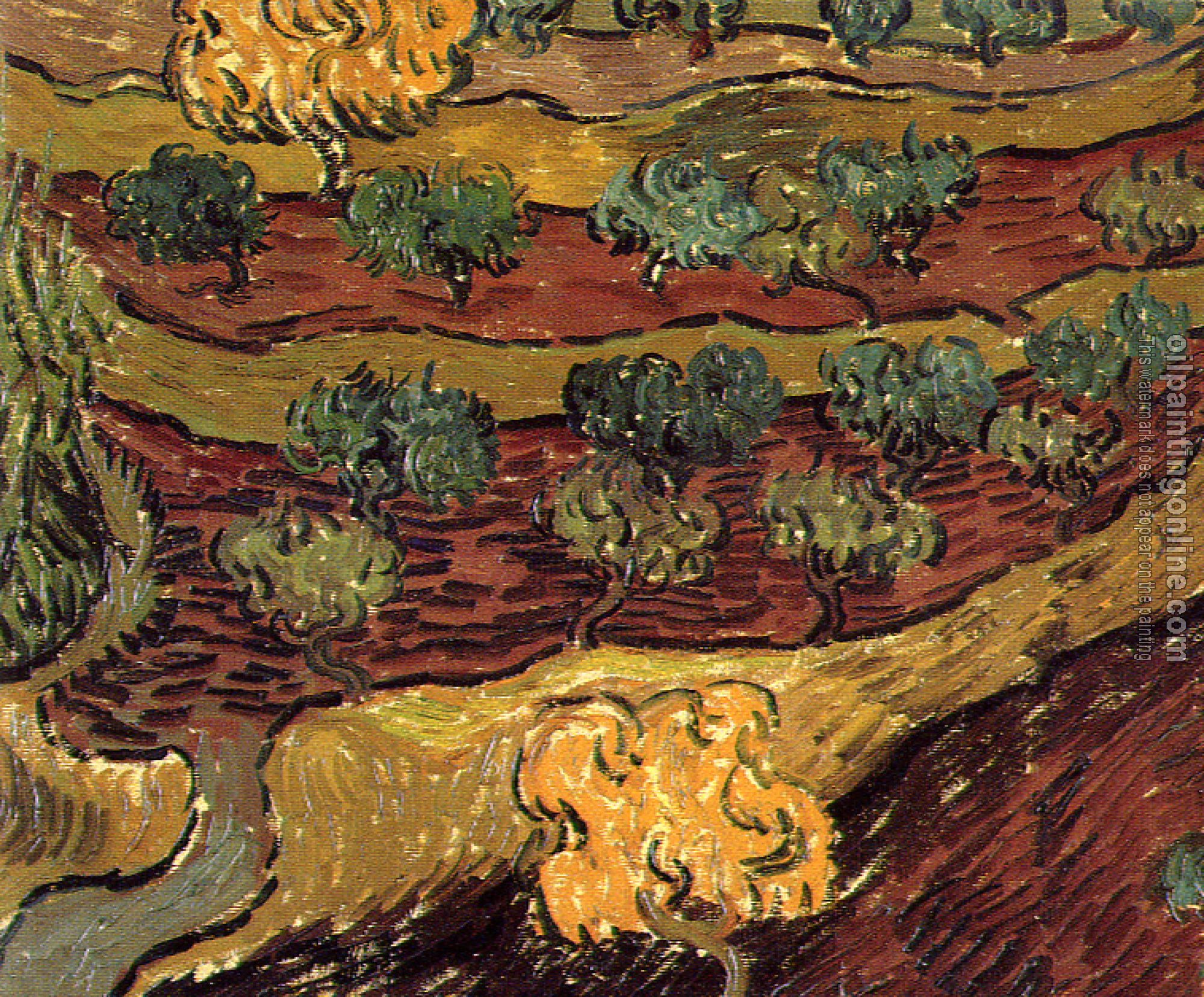 Gogh, Vincent van - Olive Orchard(Birds-EyeView)